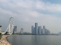 -宝安西湾红树林湿地公园