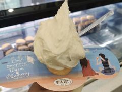 -野人先生现做冰淇淋(西安赛格店)