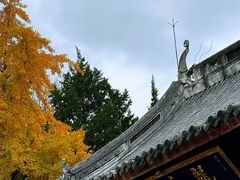 -龙华素斋(龙华路店)