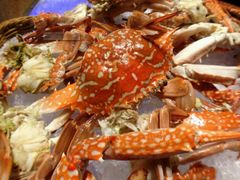 -星伦多 自助料理(圆融店)