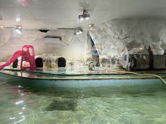 -北戴河圣蓝海洋公园