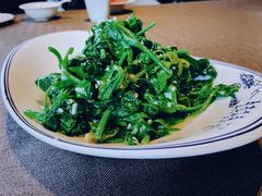 碧绿瓜尖-樽宴酒楼·地道川菜·品质宴请