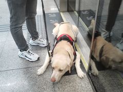 -蒲黄榆(地铁站)