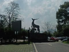-长沙黑麋峰国家森林公园