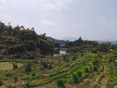 -天强农家菜馆
