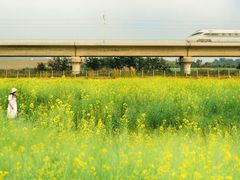 -光明小镇欢乐田园