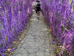 -抱犊寨风景区