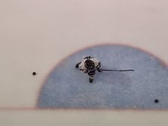 -TheRink大零溜冰场(IFS国金中心店)