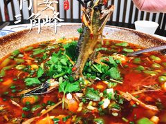 -院8里·少城记忆老川菜(宽窄巷子店)