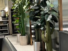 -卡朋西餐(大信新都汇店)