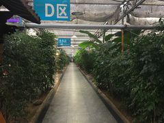 -特味村福园