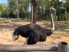 -大连森林动物园