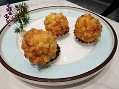 -丁老爷子苏香圆