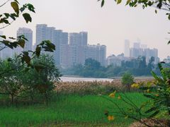 -华侨城湿地公园
