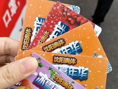 -沈阳奥体冰雪嘉年华