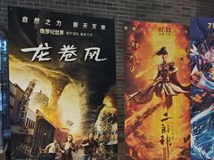 -华美国际影城(旧宫永辉店)