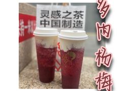 多肉杨梅-喜茶(天津乐宾百货店)