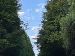 -山王坪喀斯特国家生态公园