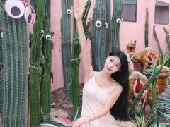 -正佳雨林生态植物园