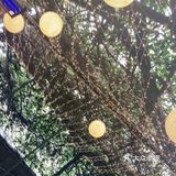 这家餐厅整体非常推荐超级赞