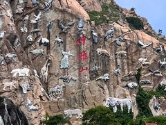 -西霞口神雕山野生动物世界