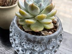 -爸爸糖吐司面包(南京奥体店)