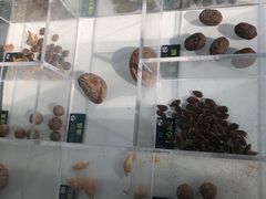 -郑州植物园