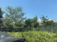 -秦皇岛野生动物园