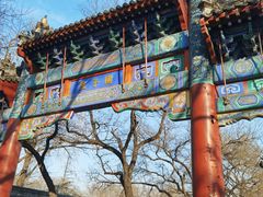 -北京国子监胡同