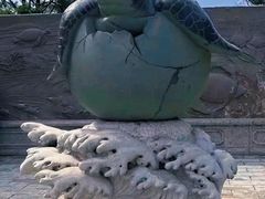 -广东惠东海龟国家级自然保护区