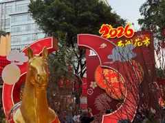 -越秀西湖花市(广州城市广场花卉店)