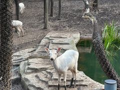 -沈阳森林动物园