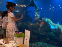 -涛·海底餐厅·美人鱼·自助餐·海底隧道(三亚海棠湾洲际度假酒店)