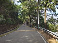 -风云岭森林公园