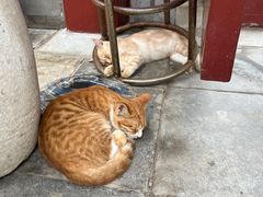 -李叔同故居纪念馆