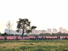 -汉长安城未央宫国家考古遗址公园