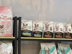 -渲嗳动物医院(异宠·复杂内科转诊中心·玖洲道富华里分院)