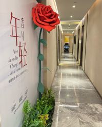 -香榭丽舍·海菲秀·皮肤管理痘敏肌修护