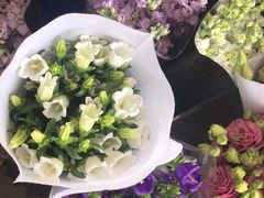 -秦美花卉(天朗·莱茵小城2期店)