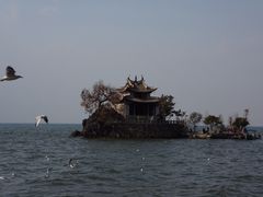 -小普陀