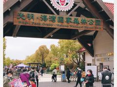 -上海海湾国家森林公园