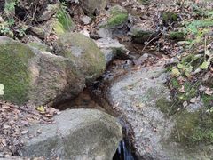 -吉林市朱雀山国家森林公园