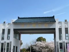 -天王浮山樱花园