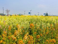 -中国天府农业博览园