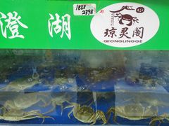 -阳澄湖大闸蟹·琼灵阁牌品牌连锁(吴中总店)