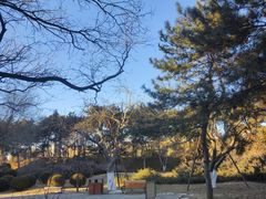 -元大都城垣遗址公园