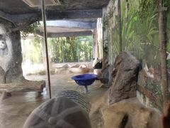-海南热带野生动植物园
