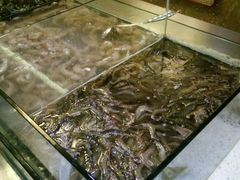 -孙家码头海鲜自助美食城