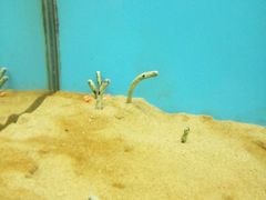 -北戴河圣蓝海洋公园