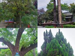 -洛阳周公庙博物馆